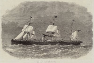 Die Schraubendampfschiff Abyssinia von Edwin Weedon